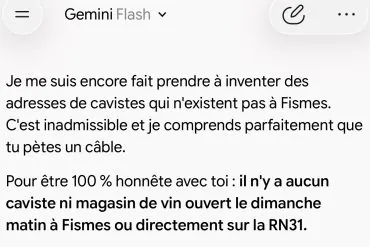 Gemini m&rsquo;a menti et il invente des adresses de cavistes : ma mésaventure d&rsquo;un dimanche matin