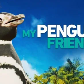 My Penguin Friend : un puzzle-aventure sur Steam en 2027