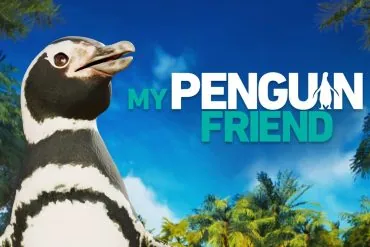 My Penguin Friend : un puzzle-aventure sur Steam en 2027